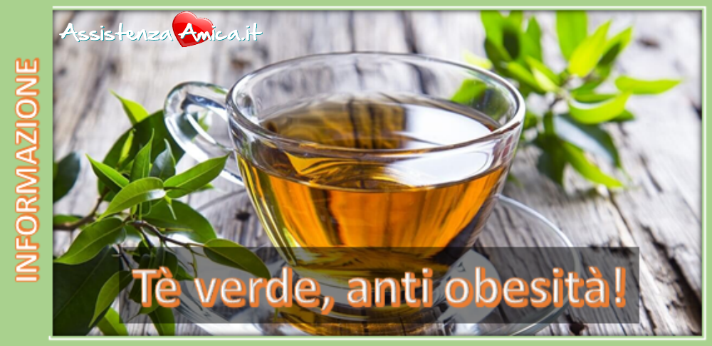 Tè verde, anti-obesità