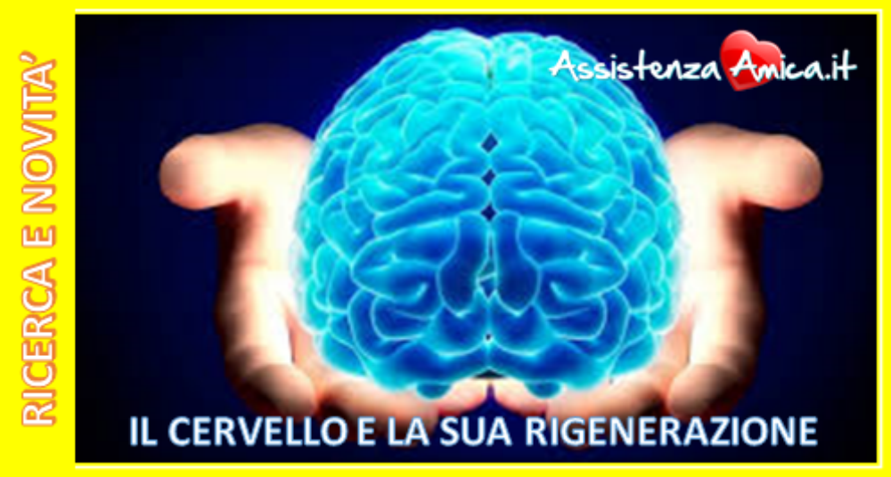 IL CERVELLO E LA SUA CARATTERISTICA POTENZIALE DI RIGENERARSI