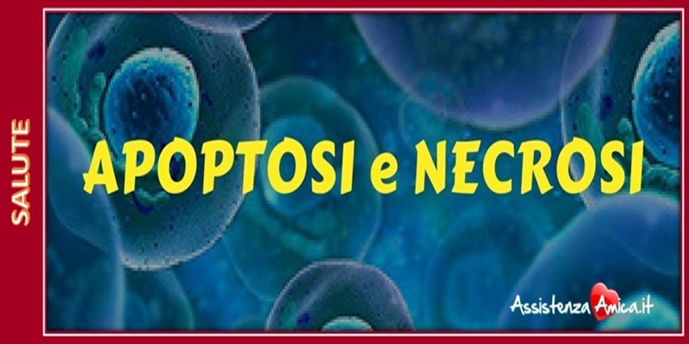 Necrosi: significato, definizione, sinonimo, cause, cure