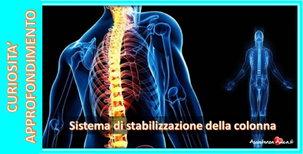 L’innovativo sistema di stabilizzazione della colonna